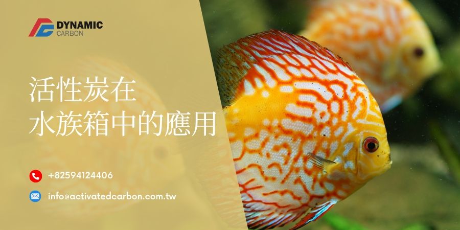 活性炭用於水族箱
