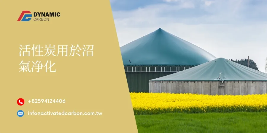 活性炭用於沼氣净化